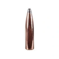 Speer 6.5mm 140 gr Hot-Cor 10 Pack