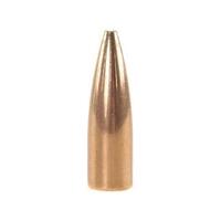 Speer 6.5mm 90 gr TNT 10 Pack