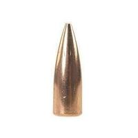 Speer .308 125 gr TNT 10 Pack