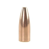 Speer .308 130 gr Varmint HP 10 Pack