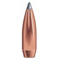 Speer .308 165 gr Spitzer Boat Tail 100 Pack