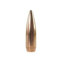 Speer .308 168 gr Target Match 10 Pack