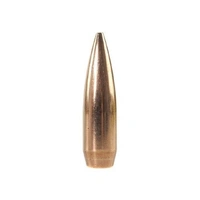 Speer .308 168 gr Target Match 100 Pack
