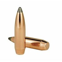 Speer .308 180 gr Varmint Soft Point 10 Pack