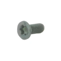 Spuhr M4X10 TX20 Accessory Screws