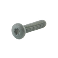 Spuhr M5X25 TX20 Clamping Screws