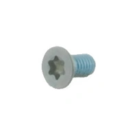 Spuhr M3X6 TX10 Aimpoint Screws