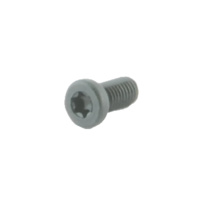 Sauer Recoil Screw