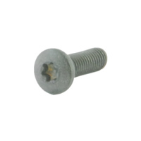 Spuhr M5X16 TX20 Clamping Screws