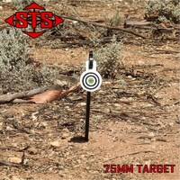 STS Rimfire Stake Target