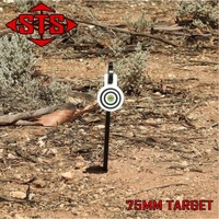 STS Rimfire Stake Target